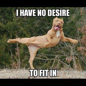 Meet your Posher, Jerry